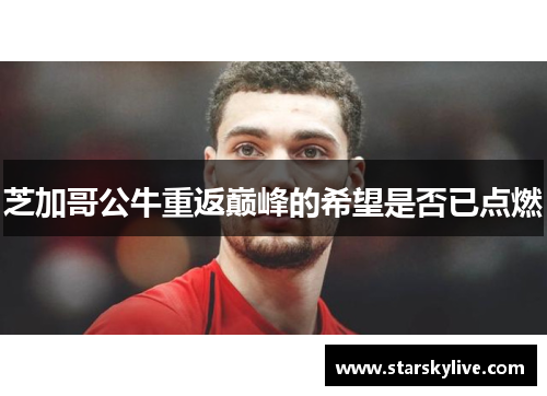 芝加哥公牛重返巅峰的希望是否已点燃