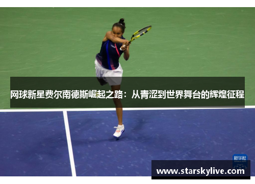 网球新星费尔南德斯崛起之路：从青涩到世界舞台的辉煌征程